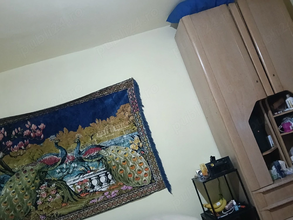 schimb sau vand apartament cu o camera in Oradea 