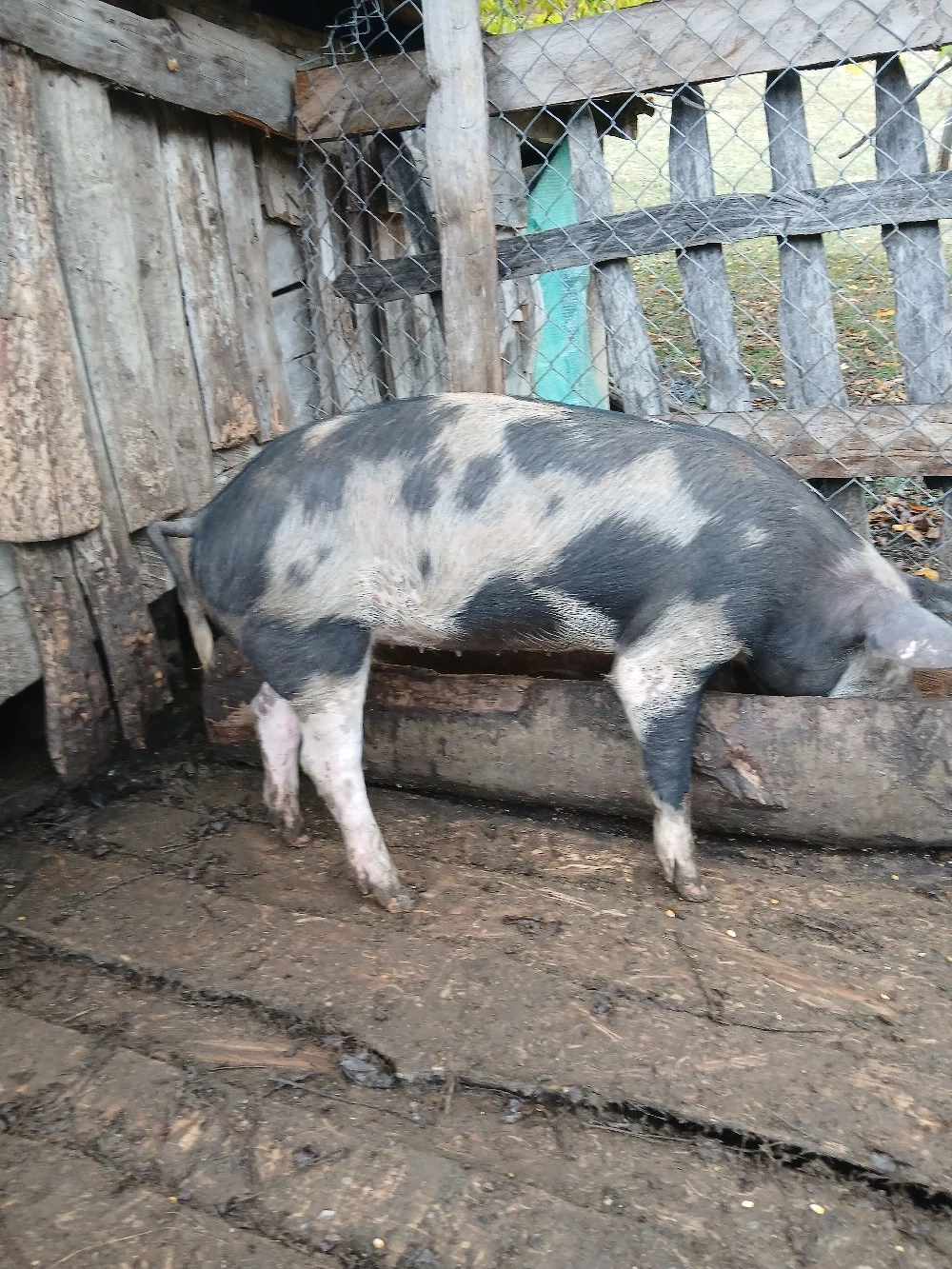 De vânzare
