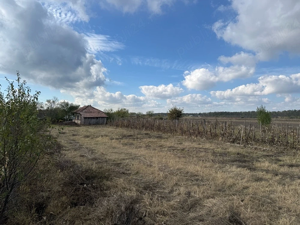 Teren intravilan de vânzare   1.200 mp   Cazaci, Dâmbovița   30.000  