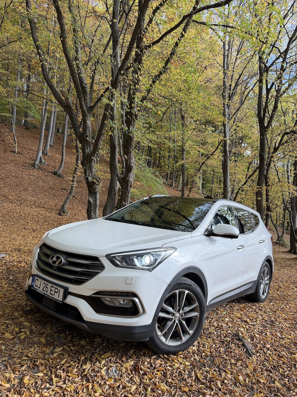 Santa Fe 2017 4x4 Automat Full