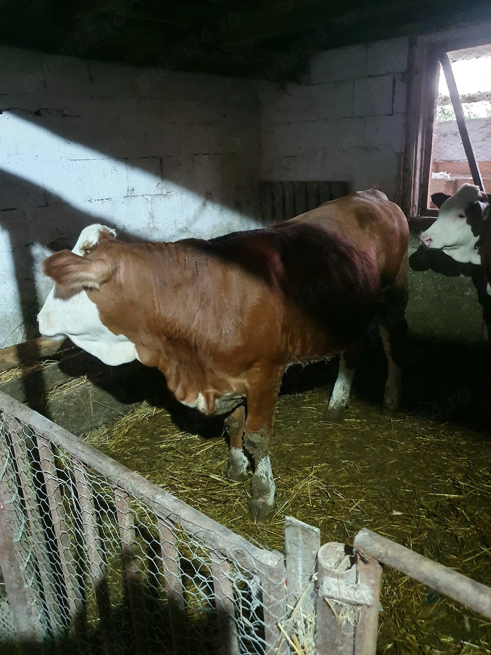 Tauasi de vanzare