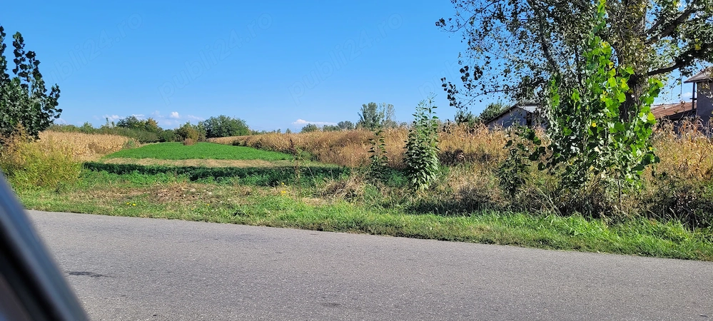Teren de vânzare 