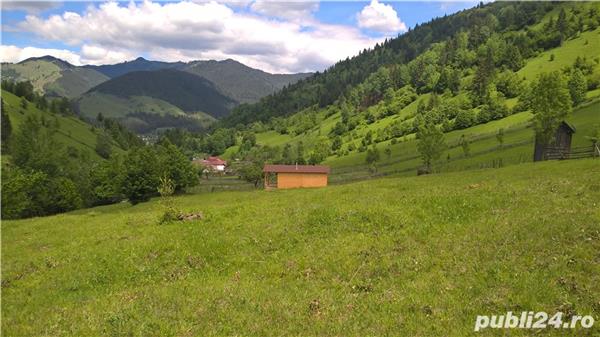 Teren munte Poiana Teiului
