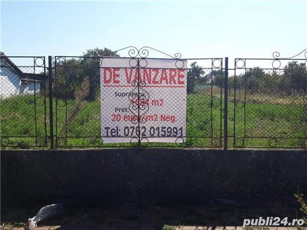 Loc de munca sannicolau mare