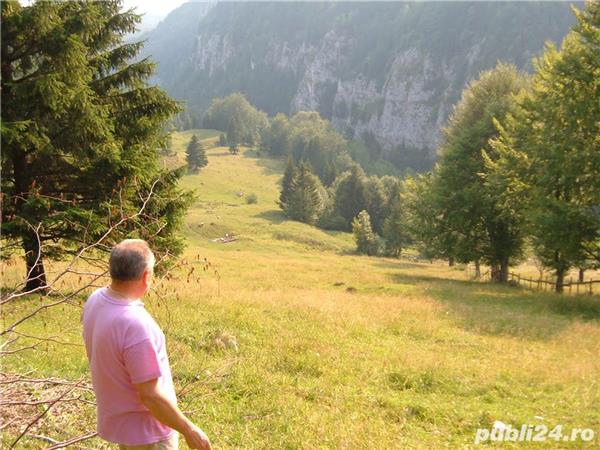 Vand padure foioase gorj-albeni 500 ha