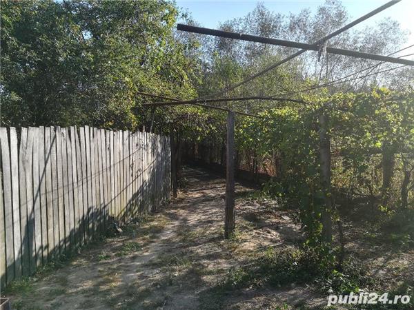 Casă Ciuperceni sat Vârtopu
