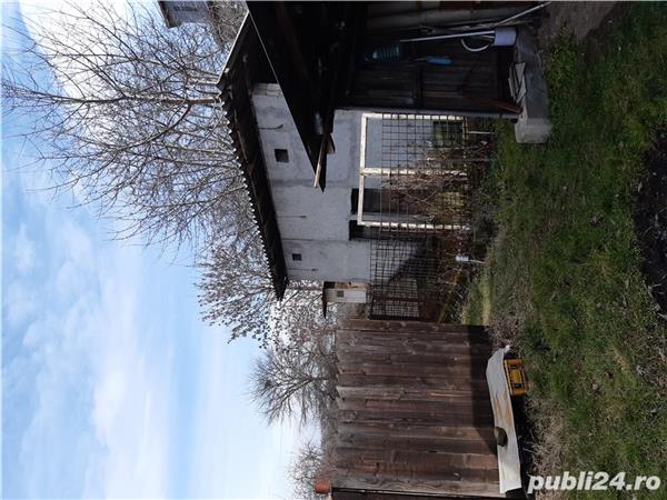 Vand casa, sat Petresti, com Corbii Mari