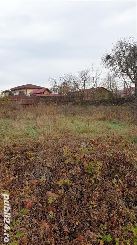 Teren de vânzare Goranu zona frumoasa