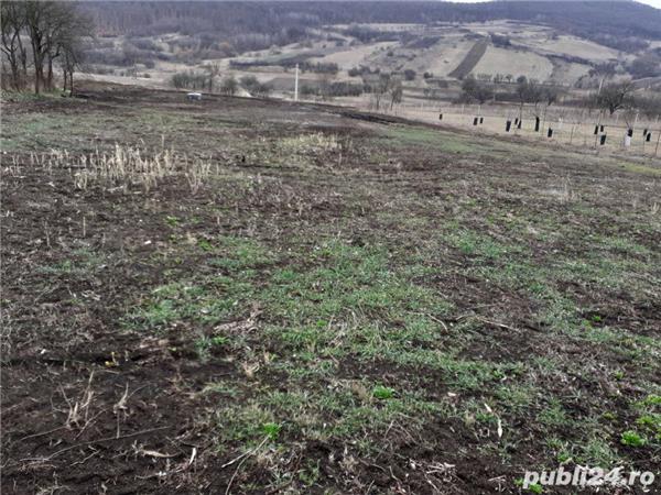 vand teren intravilan Almasu.Sec