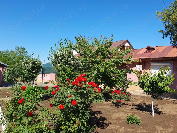 Casa de vanzare DN25 com.Independenta jud.Galati