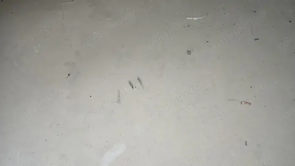 Vand apartament 2 camere in Deva, zona Micro 15 (Lidl), parter inalt, situat pe mijloc, izolat — fotografia 3