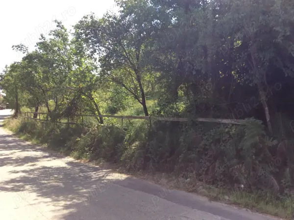 Teren de vinzare in Cheia(Olanesti)