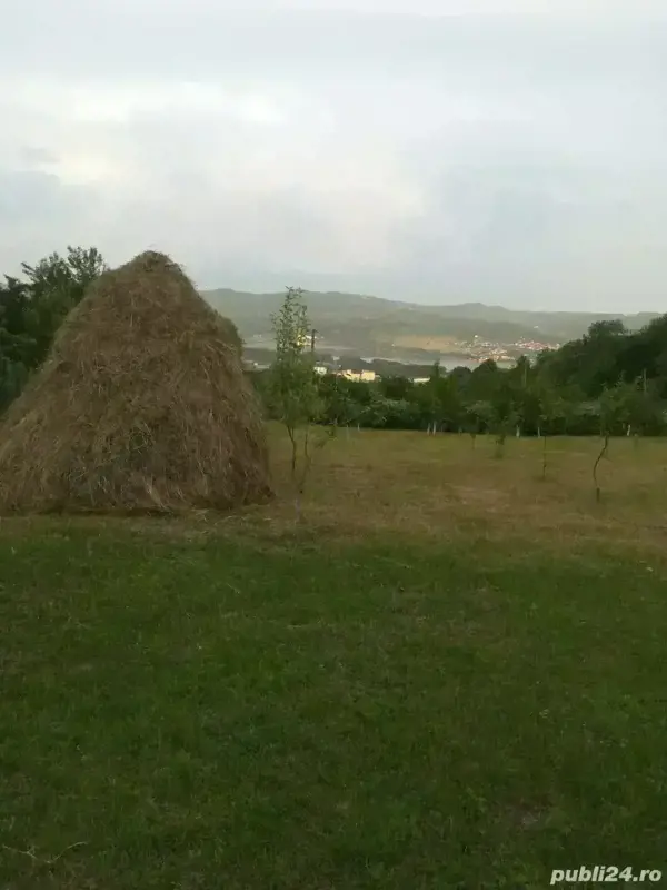 Terenuri de vanzare