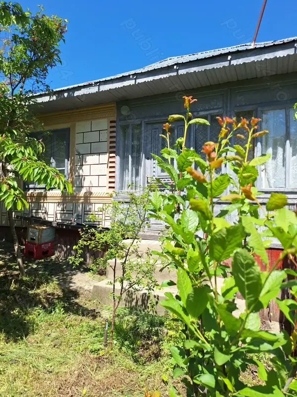 Vand casa cu teren 2093 mp Murgesti Buzau