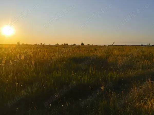 Vand teren agricol, 2ha, comuna Tamna, sat Colaret, MH