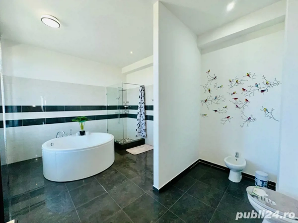 Aleea Privighetorilor- Penthouse 833 mp utili mobilat complet — fotografia 3