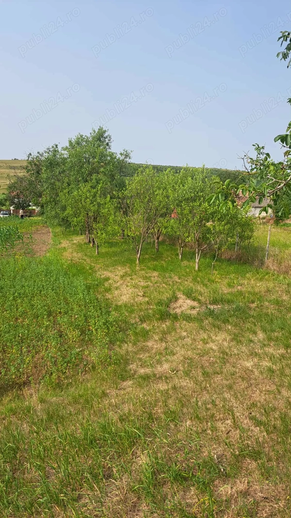 Vând vatră de casa cu teren aferent 45000 ușor negociabil