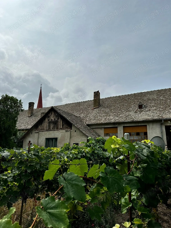 Casă de patrimoniu rural, teren 4300mp central Otelec