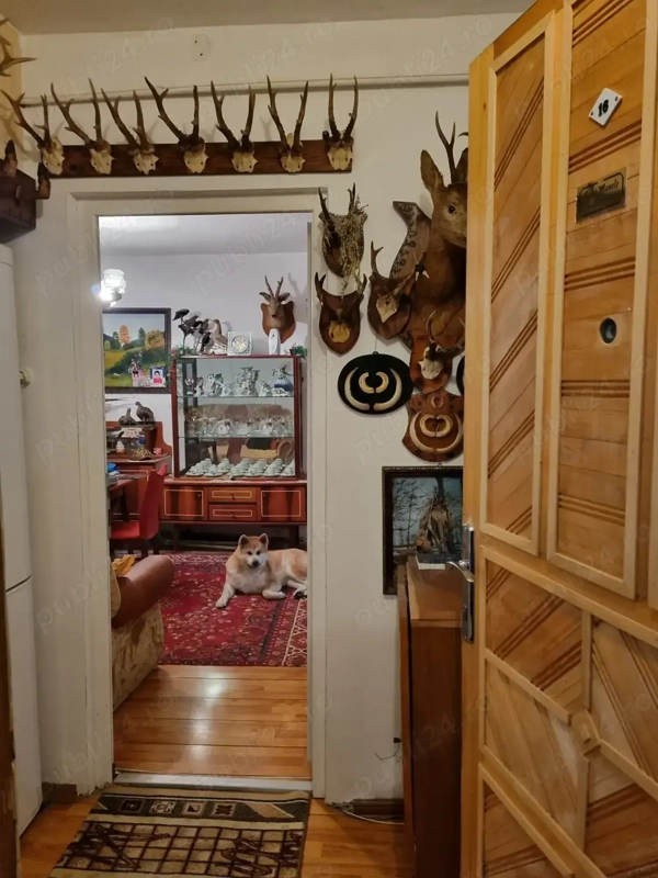 Apartament,3 camere,Govandari — fotografia 1