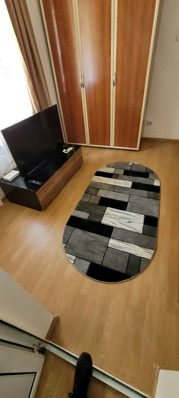 Apartament 2 camere Parter Băile Herculane — fotografia 3