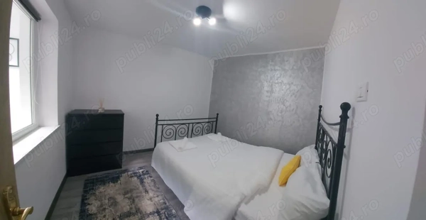 Apartament Baile Herculane — fotografia 1