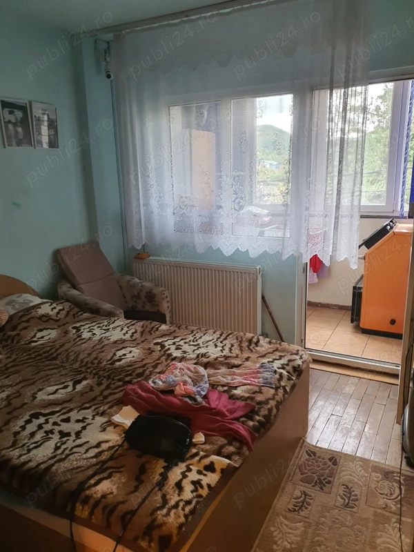 Apartament Baile Herculane — fotografia 1