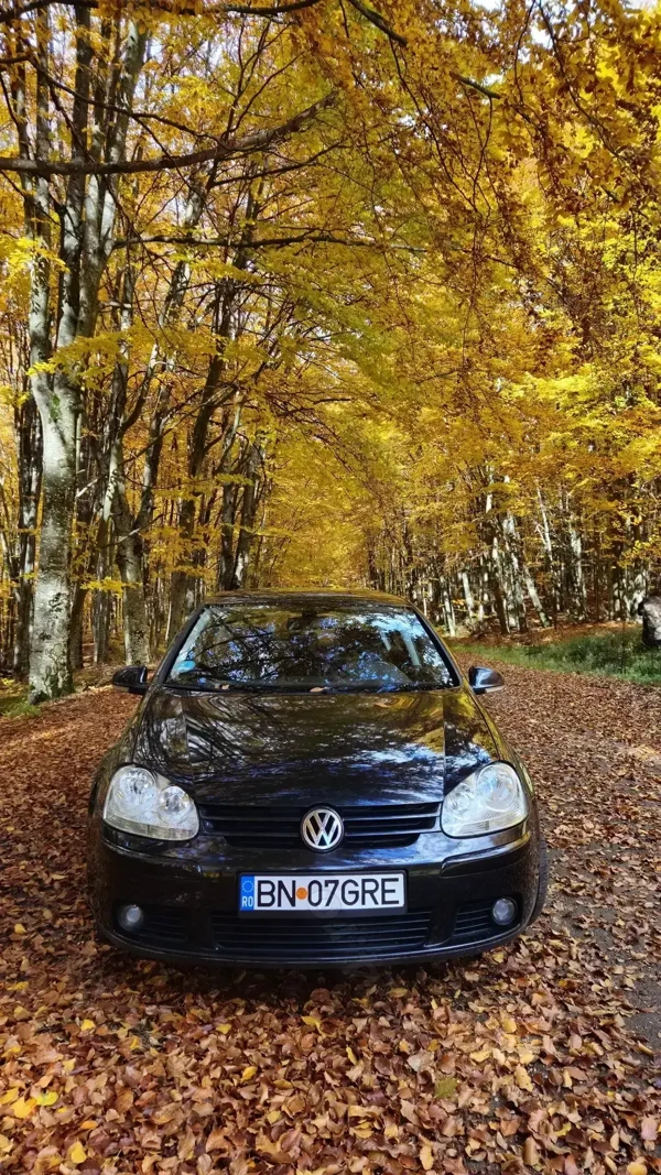 VOLKSWAGEN Golf 2004 — imagine 7