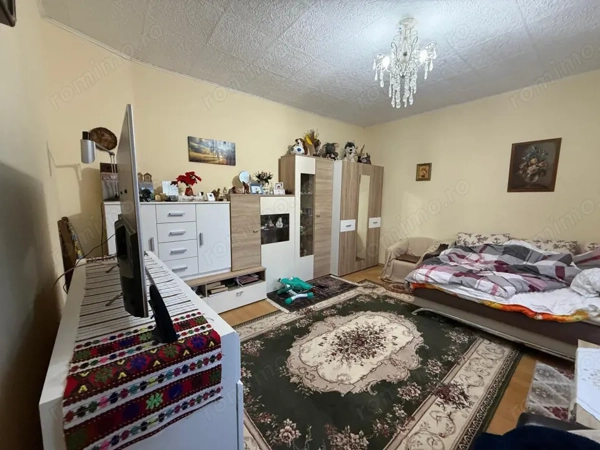 Apartament spatios, 3 camere, cu boxa pentru depozitare si gradina - Iosefin — fotografia 2