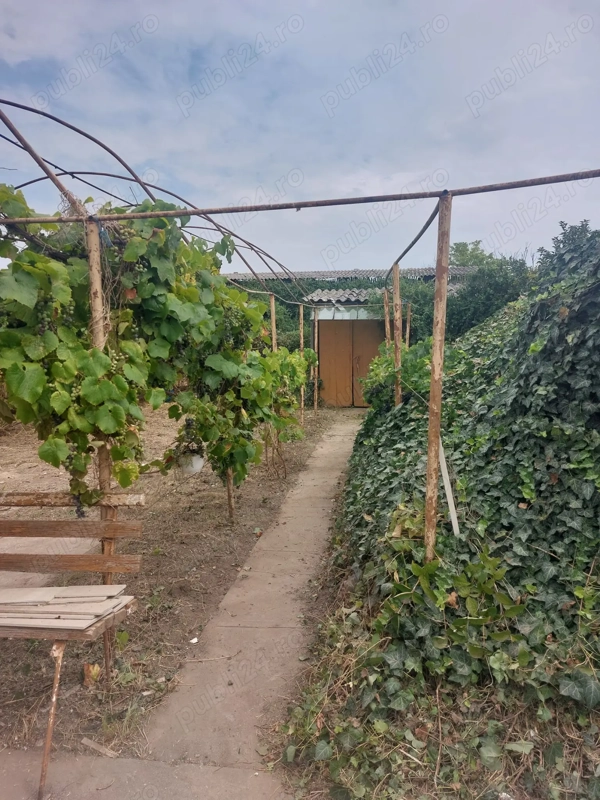 Casa de vanzare Biled