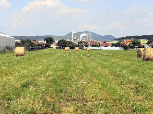 Potențial imobiliar! 15277mp intravilan + 2 case in curte, front stradal 30m