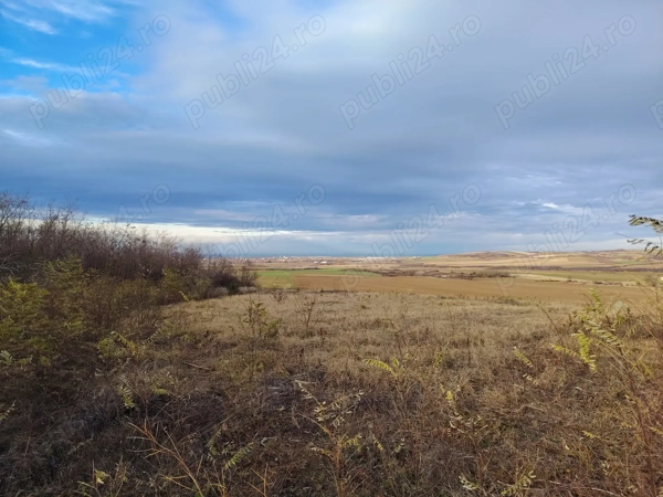 De vanzare teren intravilan 1500 Mp Paleu,Bihor