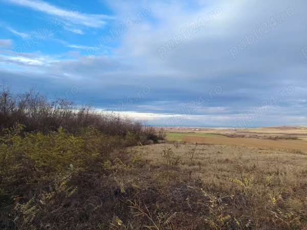 De vanzare teren intravilan 1500 Mp Paleu,Bihor
