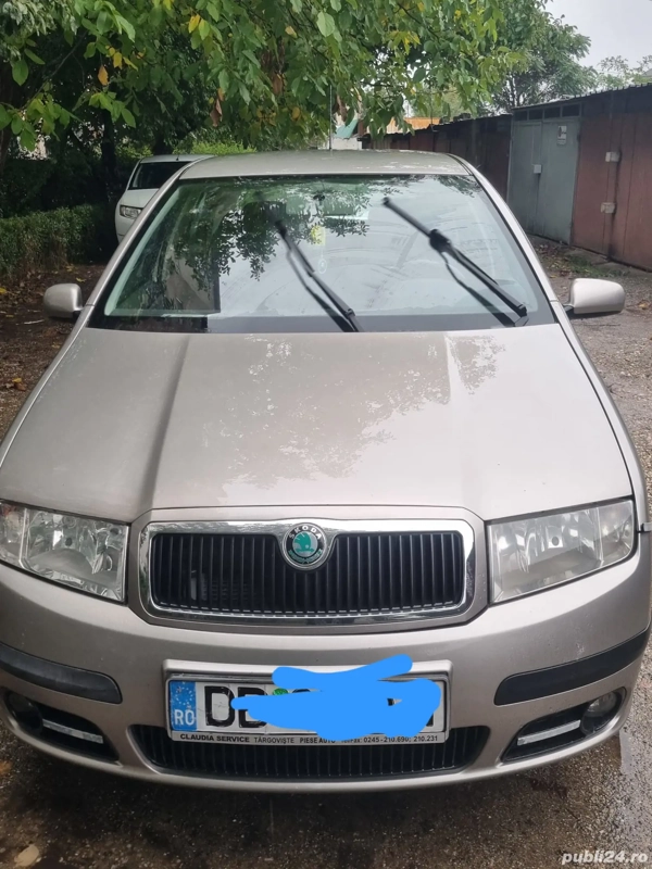 Vand Skoda Fabia 1