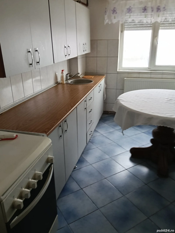 Vand apartament 2 camere Ineu Arad — fotografia 3