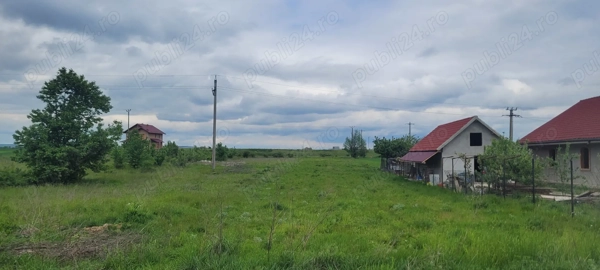 Teren intravilan 3600 mp Dumbrava Rosie 2 drumuri acces