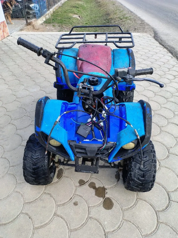 Foto 5