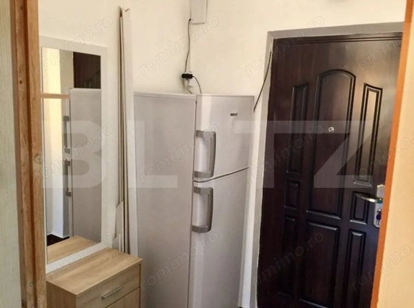 Garsonieră mobilată/utilată, 30.60 mp, zona Brazda lui Novac — fotografia 3