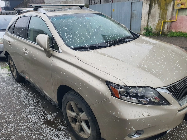 Vand schimb Lexus RX 450h