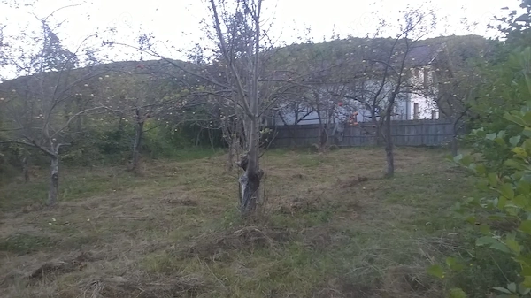Teren intravilan, Vladesti, Valcea