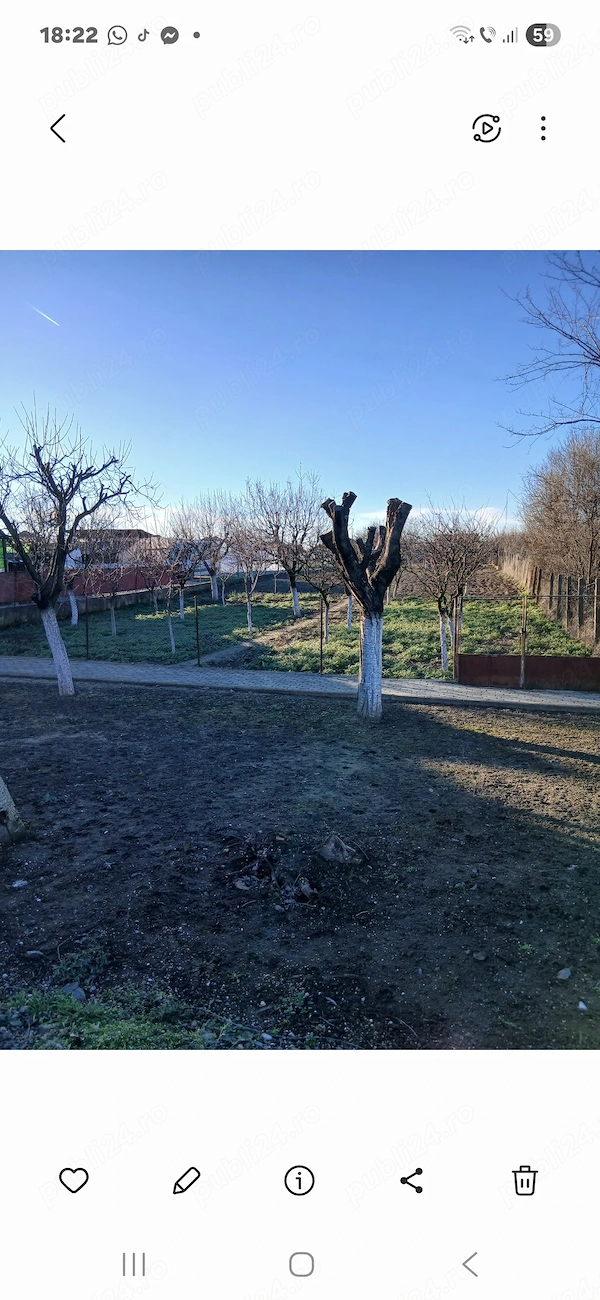 Vand loc de casa