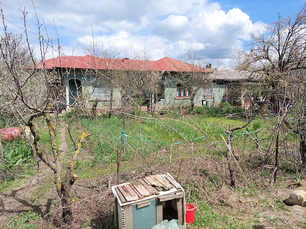 Vand casa la tara