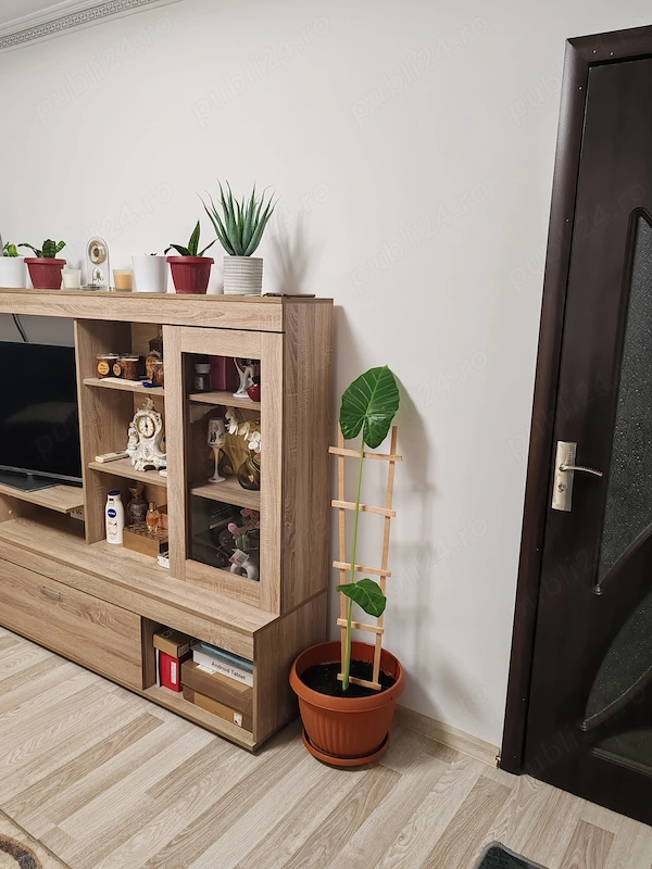 Apartament Central 4 camere — fotografia 1