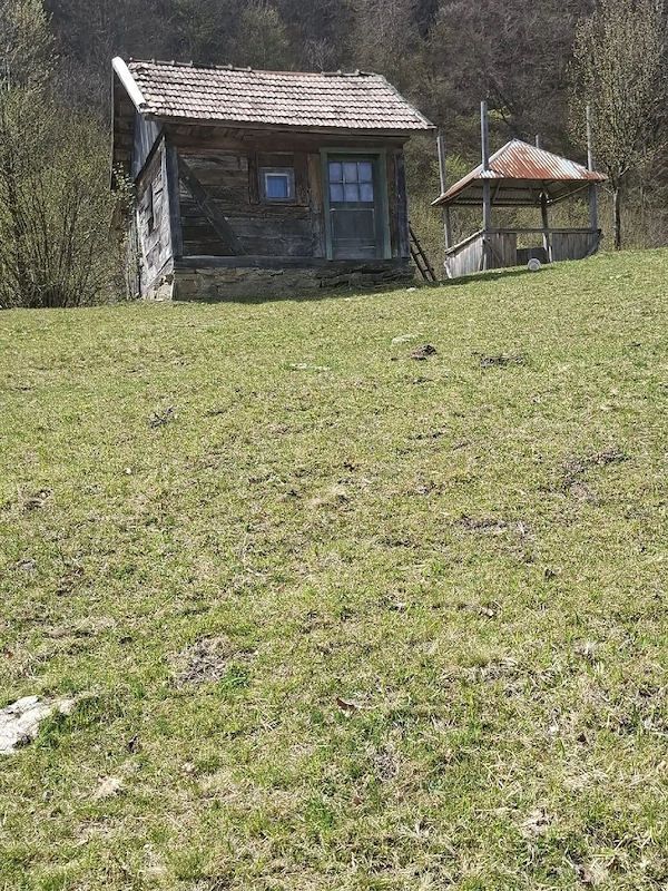Vand teren in MARAMUREȘ Valea Viseului