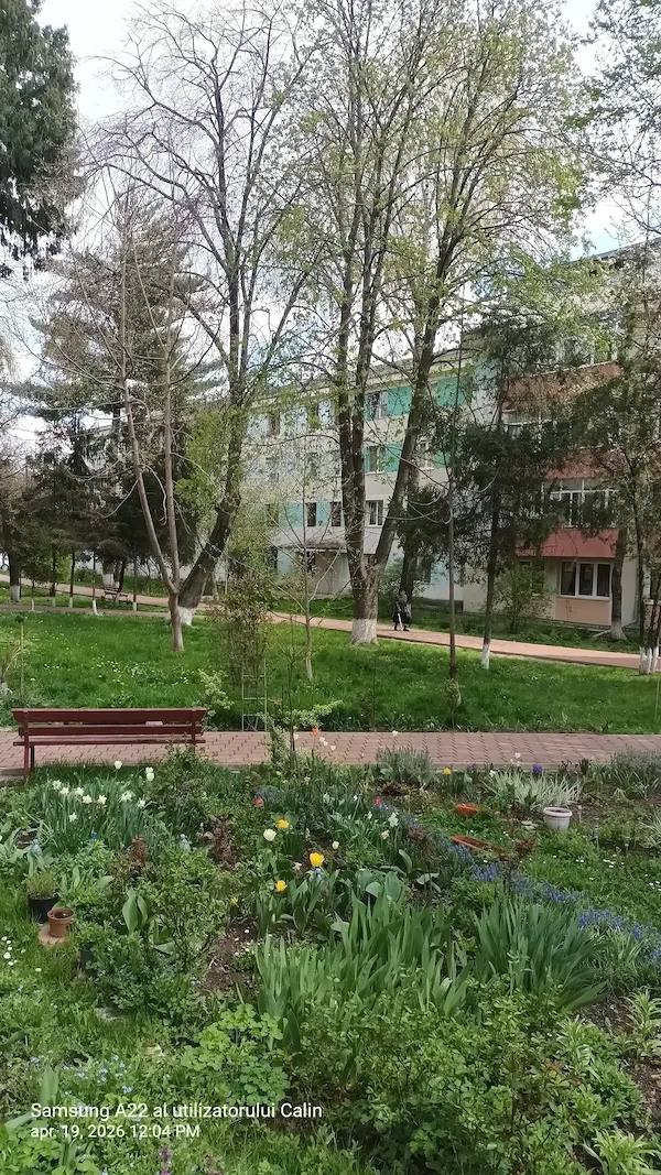 3 camere in Suceava, multiple imbunatatiri, centrala proprie, zona ultracentrala, pitoreasca — fotografia 1