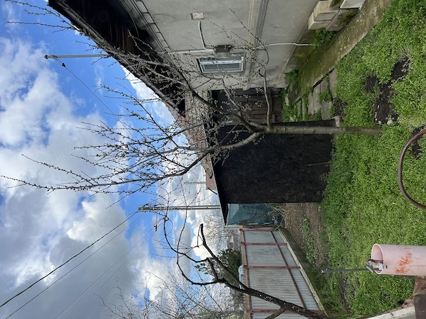 Casă de vânzare în Lehliu Gară - curte 300 mp