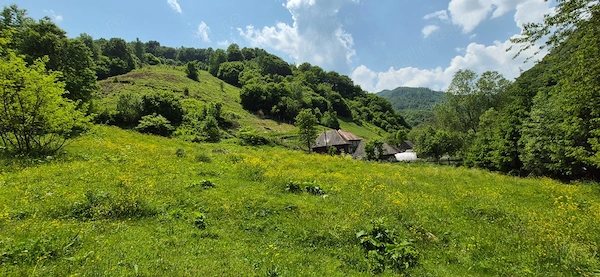 Teren intravilan munții Apuseni! Județul Alba, limită cu Județul Cluj Comuna Posaga,scărița belioara