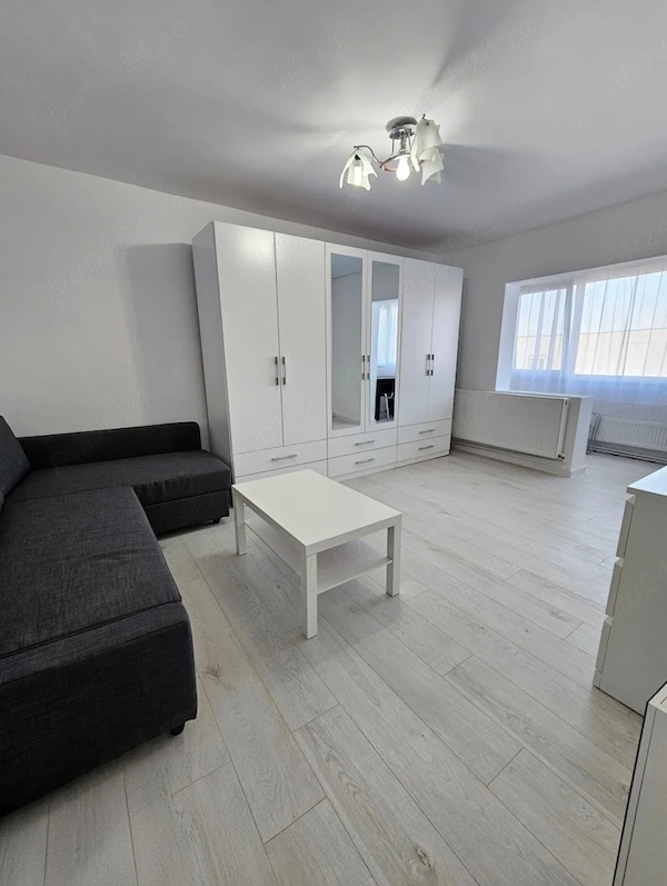 De inchiriat apartament cu 1 camera, zona Buziasului