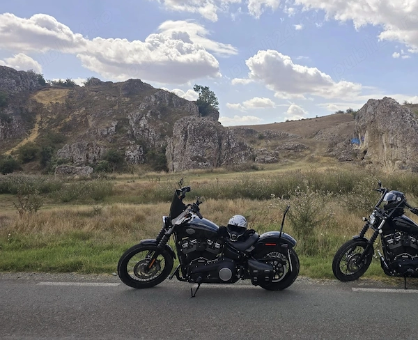 Hd fxbb 2019