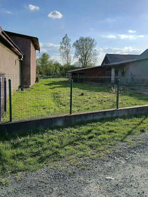 Vand 5 ari de teren Coltau