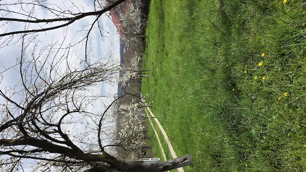 Teren intravilan 1048mp persoana fizica